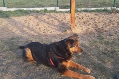 96154117_904901273305459_8242578699619139584_n