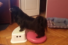 96239786_188566305560383_5339118225554669568_n-e1595240965628