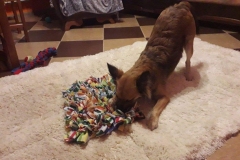 96242334_571062410193241_447744937539141632_n