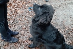 96245517_262627388195945_7499371434095935488_n