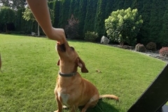 96247435_259865361866737_1642010978453291008_n