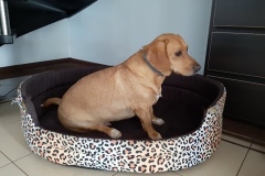 96263533_242361823772555_3642724890890469376_n