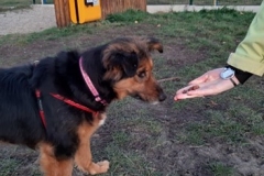 96276356_1112559712446893_5733647285640757248_n