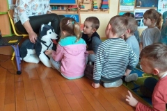 96283976_675477713237190_6485104152547426304_n