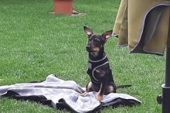 96363456_549362659305272_2516875114906124288_n