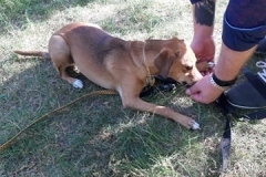 96364642_574090609902889_620847461191122944_n