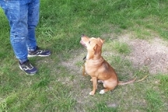 96376677_925131221257567_3361884727526031360_n