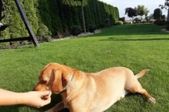 97409137_247364816489530_4483724374150479872_n