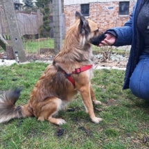 88175301_241482723526248_7137477798972620800_n