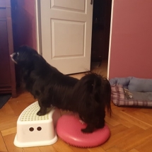 96239786_188566305560383_5339118225554669568_n