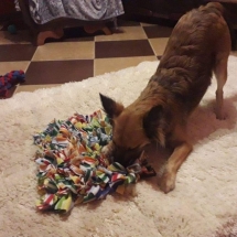 96242334_571062410193241_447744937539141632_n