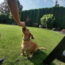 96247435_259865361866737_1642010978453291008_n