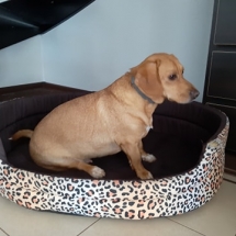 96263533_242361823772555_3642724890890469376_n