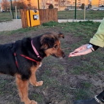 96276356_1112559712446893_5733647285640757248_n