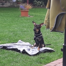 96363456_549362659305272_2516875114906124288_n