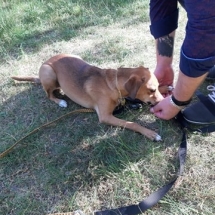 96364642_574090609902889_620847461191122944_n