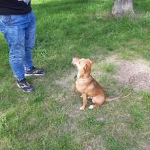 96376677_925131221257567_3361884727526031360_n