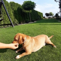 97409137_247364816489530_4483724374150479872_n